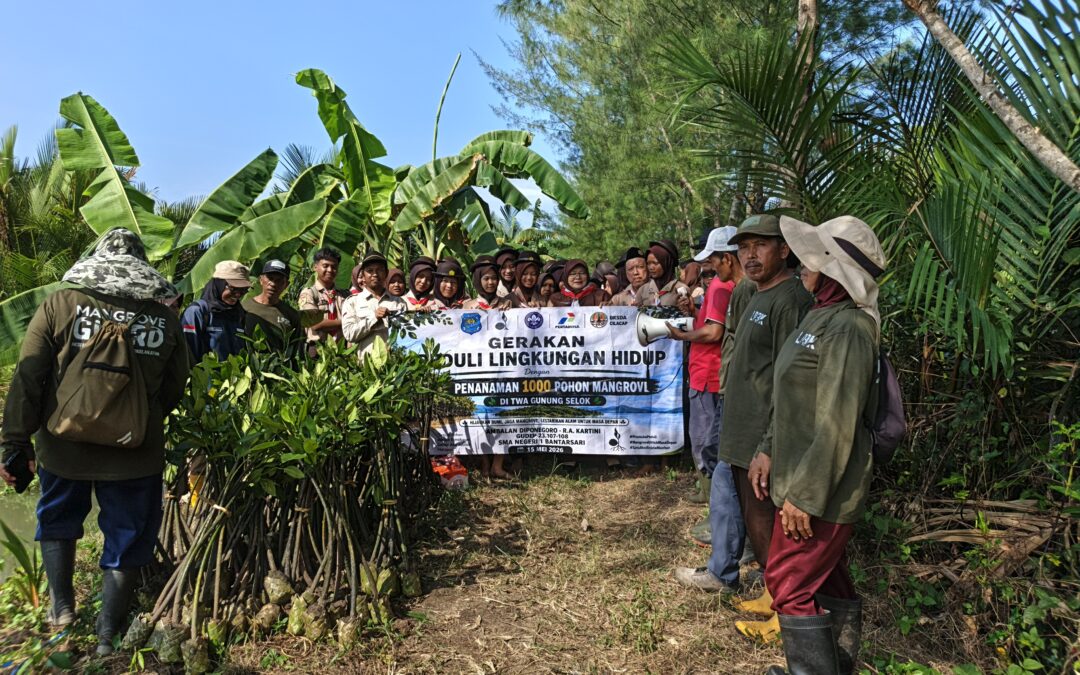 Pramuka SMAN 1 Bantarsari Gelar Susur Pantai dan Tanam 1.000 Mangrove di TWA Gunung Selok