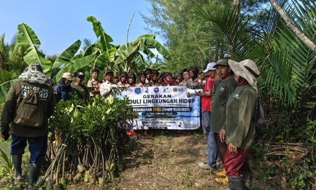 Pramuka SMAN 1 Bantarsari Gelar Susur Pantai dan Tanam 1.000 Mangrove di TWA Gunung Selok
